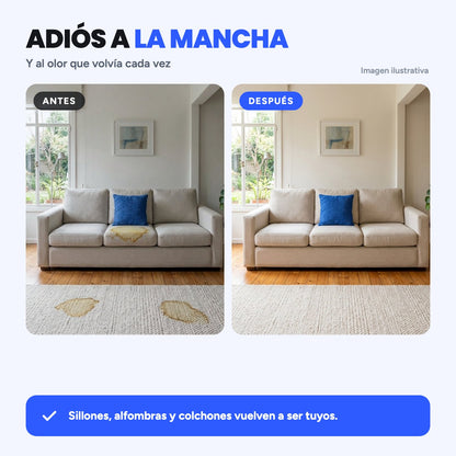 Elemia - Elimina olor y manchas de orina de perros y gatos 500 ml